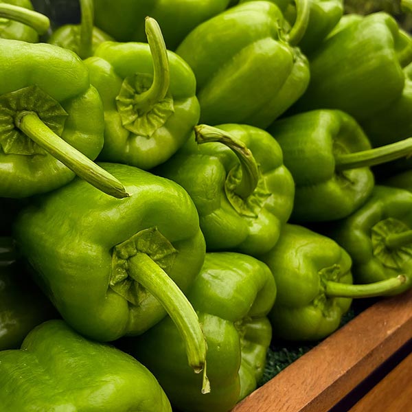 Pimentón verde